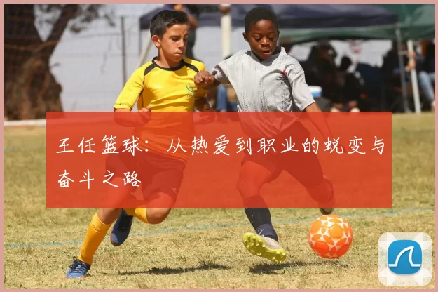 王任篮球：从热爱到职业的蜕变与奋斗之路