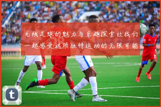 毛线足球的魅力与乐趣探索让我们一起感受这项独特运动的无限可能
